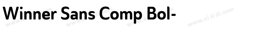 Winner Sans Comp Bol字体转换
